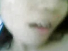 Malaíska-awek búðinni europe. kgm